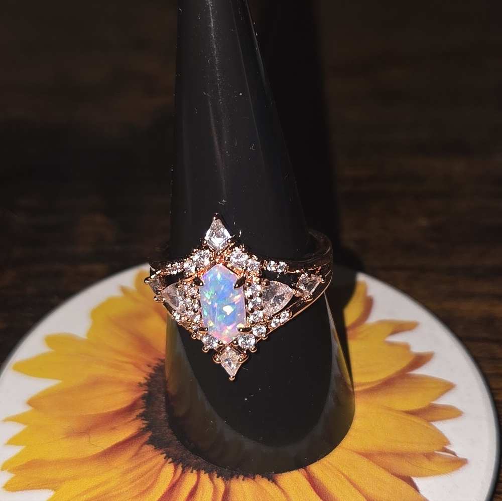 October Collection - Picture 2 of 5